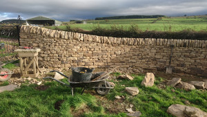 Ceres Fife free-standing dry stone boundary wall